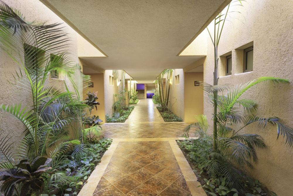 Hotel Los Patios 카보산루카스 외부 사진